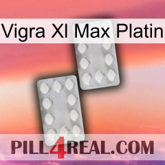 Vigra Xl Max Platinum 17